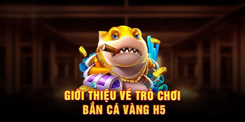 33Win Bắn Cá Vàng H5 – Game Săn Cá Đổi Thưởng Hot 2026 3 Bật mí các chế độ chơi phù hợp với từng đối tượng